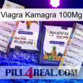 Viagra Kamagra 100Mg 12